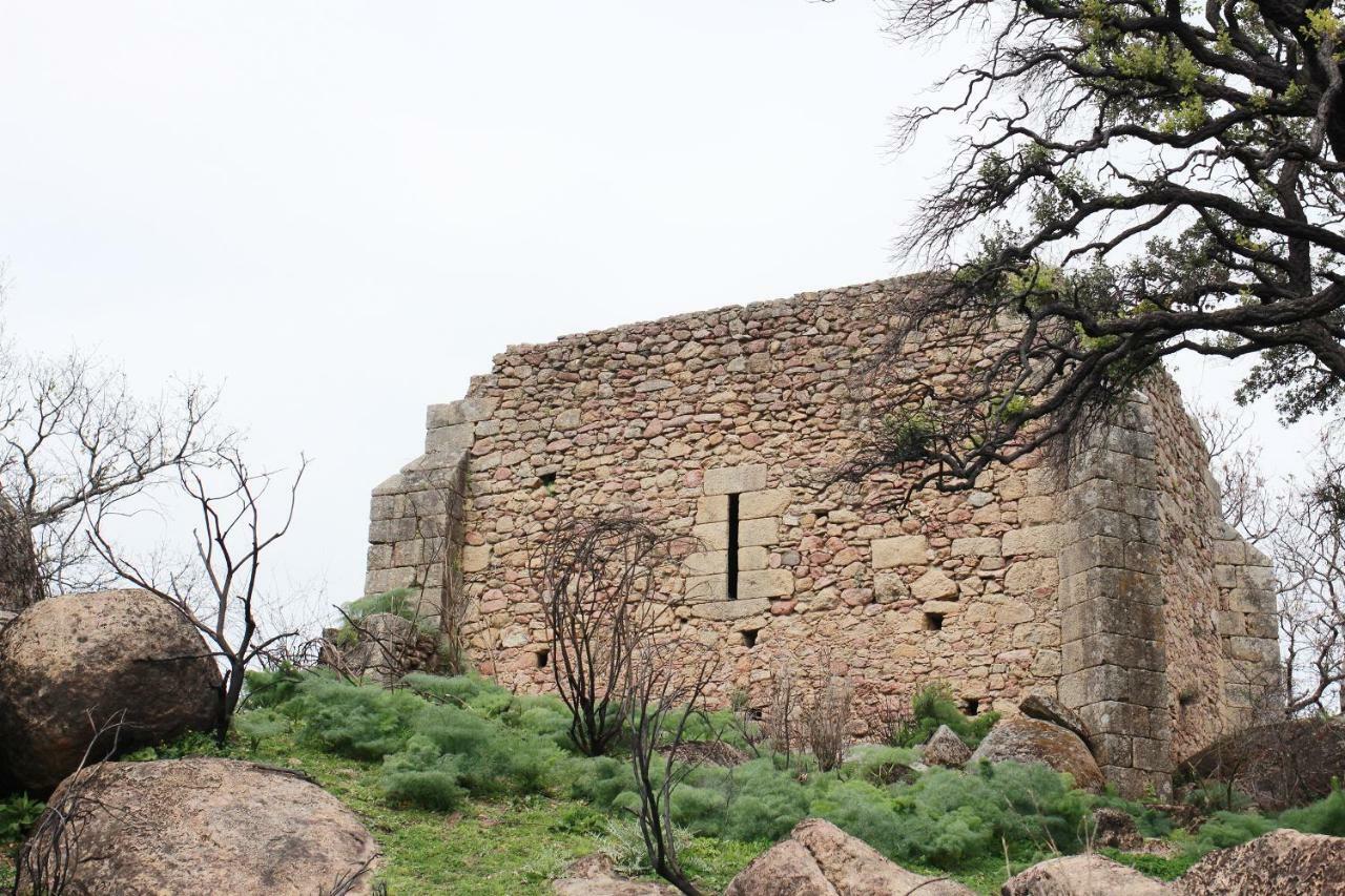 Perales del Puerto La Grulla Gris 게스트하우스 외부 사진